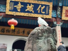 -九华山风景区
