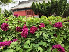-大钟寺古钟博物馆