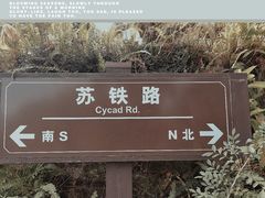 -深圳仙湖植物园