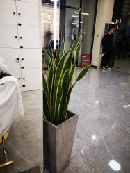 -AYO SALON
