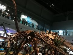 -自贡恐龙博物馆