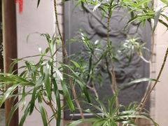 -鸢飞潍坊菜馆(鸢飞大酒店)