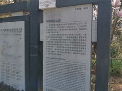 -广州市石门国家森林公园