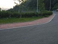 android_upload_pic-火炉山森林公园