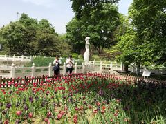 -丰台花园