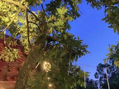 -鹅滋道(甘坑古镇店)