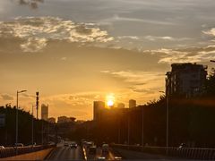 -光明港公园