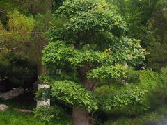 -舜耕山庄四时万和自助餐厅