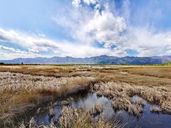 -野鸭湖国家湿地公园