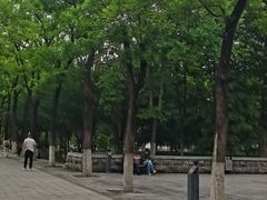 -莲湖公园