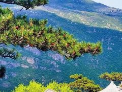 -妙峰山风景名胜区