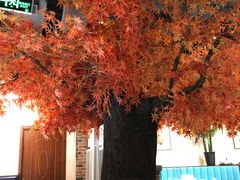 -雲蜀龙阁·金牌水煮鱼(方庄店)