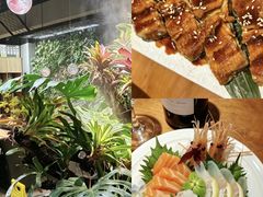 -森味薪火烧•烧鸟居酒屋•日本料理(望京店)