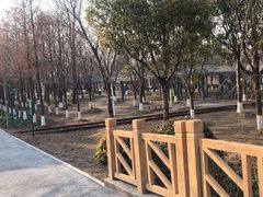 -柳鹭田园区