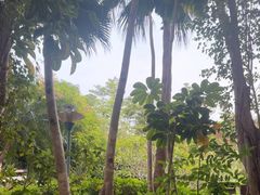 -碧水湾温泉