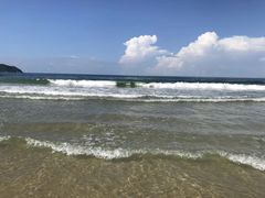 -采悦轩中餐厅·粤菜·海南菜(神州半岛喜来登度假酒店)