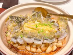 肉汁蒸海钓大黄鱼-炳胜公馆(珠江新城店)
