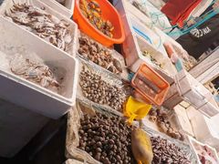 -瑞安市菜篮子批发交易市场(文华路店)