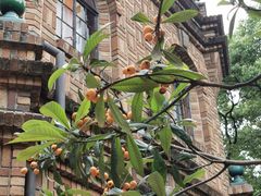 -马勒别墅·中餐厅