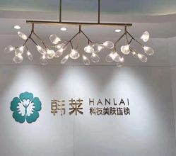 -韩莱科技美肤连锁
