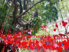 -晋江五店市传统文化旅游区