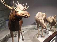 -自然博物馆新馆2楼餐厅