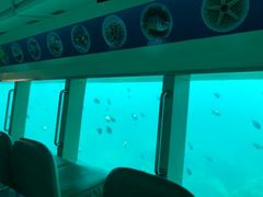-亚龙湾海底世界
