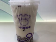 -一只酸奶牛(洪崖洞11楼店)