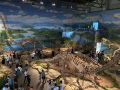 -自贡恐龙博物馆