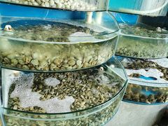 -蓝珊甄选海鲜自助·火锅大排档(近阿那亚店)