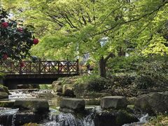 -中国茶叶博物馆(双峰馆区)