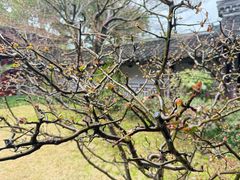 -浙江省博物馆(孤山馆区)