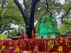 -大槐树寻根祭祖园
