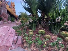 -厦门方特梦幻王国