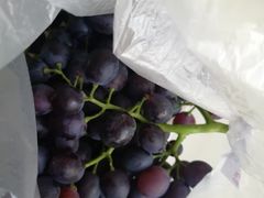 -利群商厦(台东店)