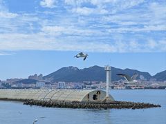 -刘公岛景区