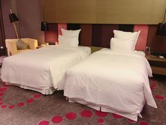 -南京禄口机场雅高铂尔曼大酒店