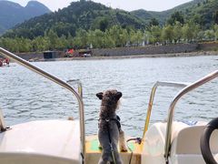 -野三坡刘家河高山漂流