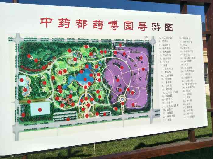 安国市中药都药博园-"附近的高端酒店,安国国际酒店马上营业了.