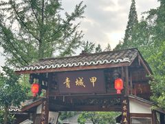 -青城甲(青城山店)