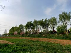 -洨河生态公园