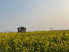 -西海岸生态观光园