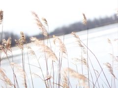 -野鸭湖国家湿地公园