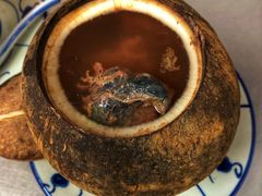 原只椰子炖竹丝鸡-達揚原味燉品(文明路店)