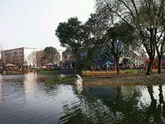 -成飞公园