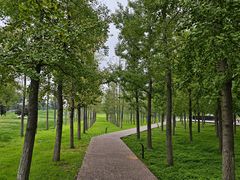 -汉长安城未央宫国家考古遗址公园