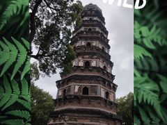 -虎丘山风景名胜区