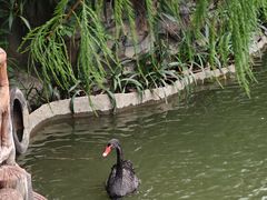 -长鹿旅游休博园