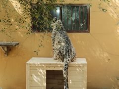 -青藏高原野生动物园