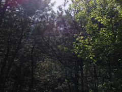 -大芦花风景区